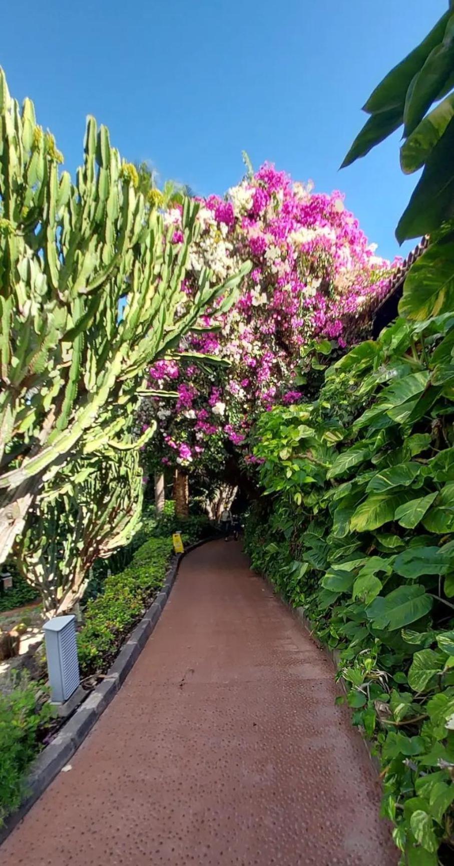 "Cathy'S Home"- Apart Luxury - Adult Only - Large Terrace Private Puerto de Santiago  Eksteriør bilde